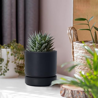Phoenix Vine 4 Inch Planter Pot with Drainage Hole & Saucer, Deep Water Catch Tray, Straight Cylindrical Round Pot for Plants, Matte Black, Pack of 1, 23-C-R-1 - color: Matte Black, size: 4" (1 Pack)