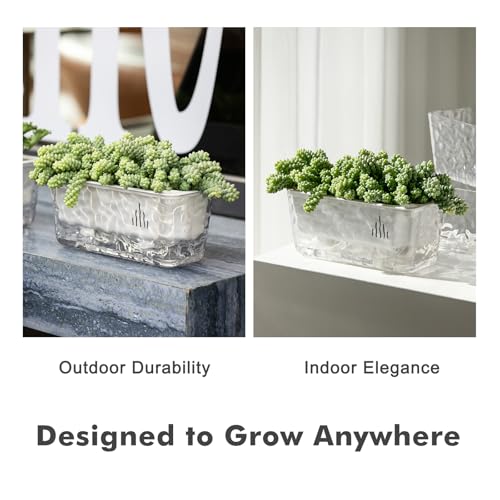 Self Watering Pots for Indoor Plants, 2 Packs Window Boxes Planters Rectangle Self Watering Planter 11 in Rectangular Clear Plant Pots Long Herb Windowsill Planter Flower Box Succulent Planters