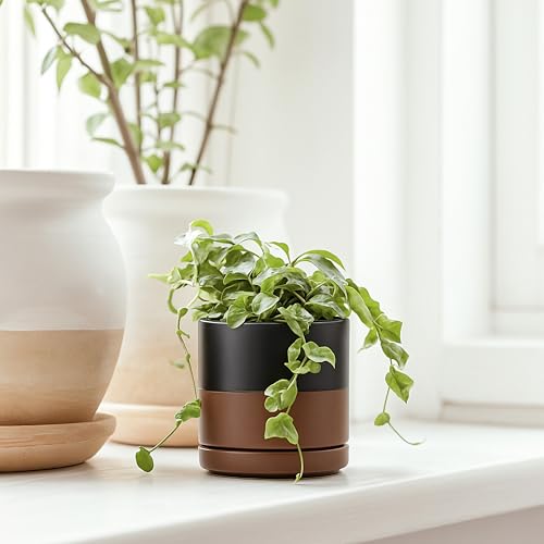 D'vine Dev 4-Pack Ceramic Pots with Saucers, Black/Tan, 3.5 in, 94-X-A-7 | Glazed Ceramic, Drainage Hole and Saucer, Sleek Cylinder Shape, High Temperature Fired, Ideal for Small Houseplants - color: Black/Speckled Tan, size: 3.5 Inch