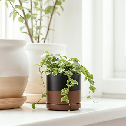 D'vine Dev 4-Pack Ceramic Pots with Saucers, Black/Tan, 3.5 in, 94-X-A-7 | Glazed Ceramic, Drainage Hole and Saucer, Sleek Cylinder Shape, High Temperature Fired, Ideal for Small Houseplants - color: Black/Speckled Tan, size: 3.5 Inch