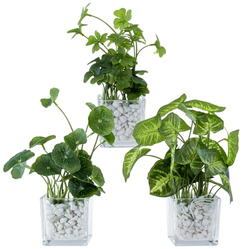 MyGift Artificial Clover and Taro Plants in Clear Glass Vase with Decorative White Stones, Set of 3 - color: Clear (White Pebbles)