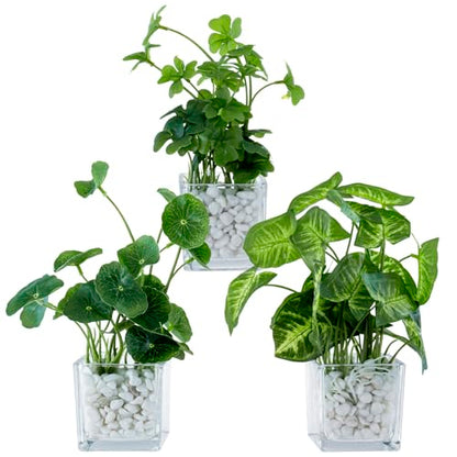 MyGift Artificial Clover and Taro Plants in Clear Glass Vase with Decorative White Stones, Set of 3 - color: Clear (White Pebbles)