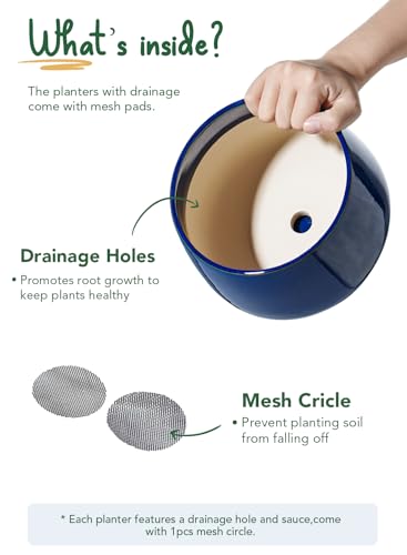 LE TAUCI Plant Pots, 4.1+5.1+6.5 inch, Set of 3, Ceramic Planters with Drainage Hole and Saucer, Indoor Flower Pot with Hole Mesh Pad, Gifts for Mom, Sapphire Blue - color: Sapphire Blue