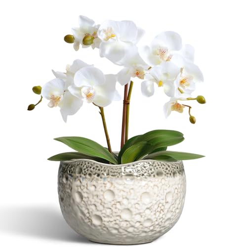 Ceramic Pots for Plants - 6 Inch Plant Pot with Drainage Hole and Plug, Round Modern Planters for Indoor Plants, Decorative Planters, Bookshelf Decor, Gifts for Plant Lovers, Beige-Grey - color: Beige-grey, size: 6.2 Inch