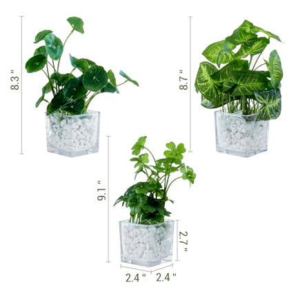 MyGift Artificial Clover and Taro Plants in Clear Glass Vase with Decorative White Stones, Set of 3 - color: Clear (White Pebbles)