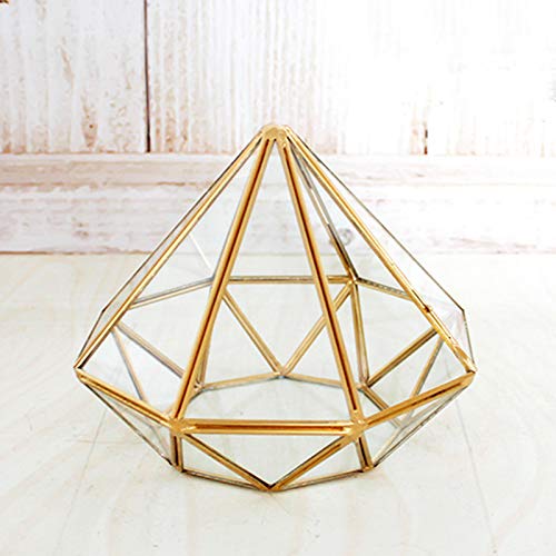 Handmade Gold Open Glass Geometric Terrarium Brass Succulent Fern Moss Plant Display Container Balcony Small