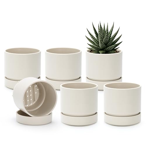 Phoenix Vine 4 Inch Planter Pot with Drainage Hole & Saucer, Deep Water Catch Tray, Straight Cylindrical Round Pot for Plants, Oatmeal, Pack of 6, 23-E-R-6 - color: Oatmeal, size: 4" (6 Pack)