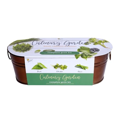 Buzzy Seeds Organic Windowsill Herb Kit - Metal Windowsill Planter - Complete Indoor Gardening Kit with Seeds, Coconut Husk Growing Medium & Genuine Pots - 100% Grow Guarantee - color: Culinary Garden