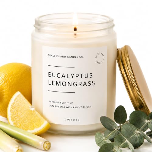Eucalyptus Lemongrass Scented Candle with Citronella Essential Oil | Contains 6 Essential Oils | 50+ Hrs Long Lasting | Non-Toxic Soy Candle - color: Eucalyptus Lemongrass
