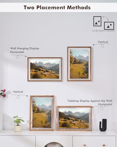 DLQuarts 18x24 Floating Picture Frame for 16x20/13x19/12x18/11x14 Photos, 2-Pack Solid Wood Double Plexiglass Wall Art Frames, Any Size Photo up to 18x24 Display, Carbonized Wood - color: Carbonized Wood, size: 18x24