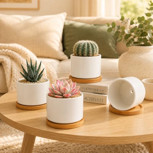 ZOUTOG Succulent Pots 3.15 Inch,4 Pack Succulent Planters,Small Pots for Plants with Drainage and Tray,White Ceramic Flower Planters for Indoor Plants,Home,Office,Desk - color: White, size: 4 Pack