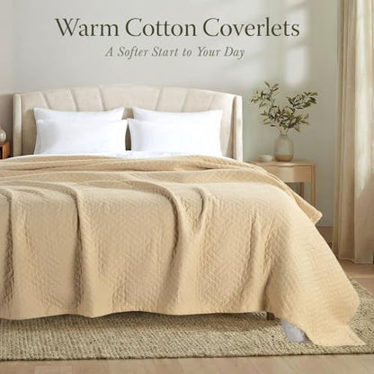 Threadmill Luxury Cotton Blankets for Queen Size Bed | All-Season 100% Cotton Queen Size Blanket | Criss Cross Jacquard Cozy Lightweight, Soft Breathable Coverlet fits Full Size Bed, 90x92 | Beige | 100% Cotton, Jacquard Pattern, 90x92 in, Breathable, All