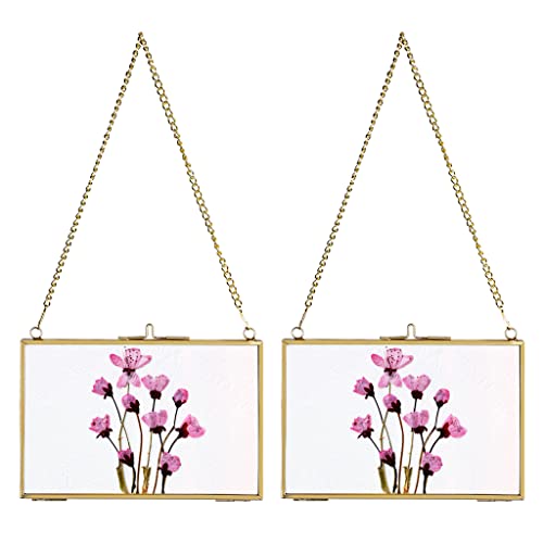 JUXYES 4x6 Hanging Double Glass Floater Picture Frame for Pressed Flowers | 2 Pack Horizontal Brass Hanging Frame with Chain for Dried Flowers, Gold Floating Frame Ornament for Post Card, Plant, DIY - color: Horizontal, size: 4" x 6"