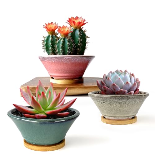 6 Inch Glazed Terracotta Succulent Pot Planter Small Plant Pot with Drainage Hole and Bamboo Saucer Cactus Ceramic Pot Set of 3 (Light Green Pink White)