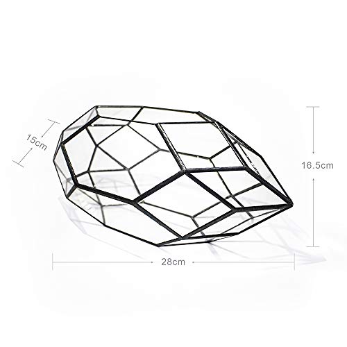 Ferris Island Handmade Glass Home Geometric Glass Succulent Flowerpot | Ideal for succulents, air plants, moss, mini ferns, and DIY terrarium arrangements with natural decorative accents. - size: 5.9"L x 11"W x 6.5"H
