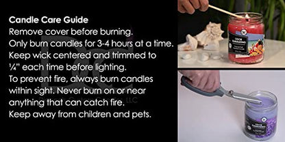 Siberian Fir Odor Eliminating Highly Fragranced Candle - Eliminates 95% of Pet, Smoke, Food, and Other Smells Quickly - Up to 80 Hour Burn time - 12 Ounce Premium Soy Blend - color: Siberian Fir