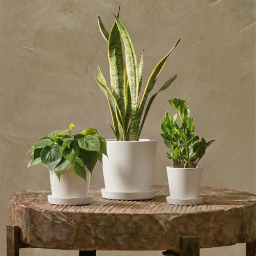 Bamworld Plant Pots Indoor with Drainage Holes- Set of 3 Pots for Plants(5.8/6.7/7.9Inch) Plastic Flower Pot Planters for Indoor Outdoor Plants Garden Pots for Room & Office Décor White - color: Grainy White, size: Inverted cone