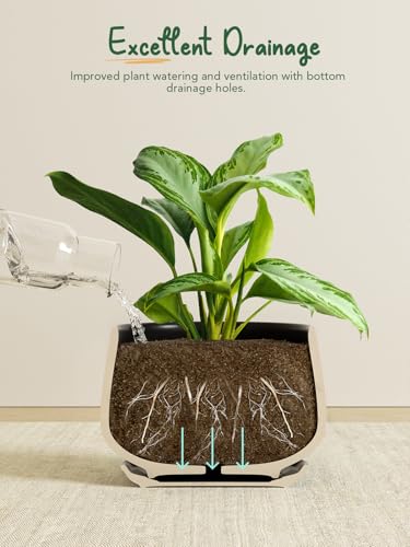LE TAUCI Plant Pots, 4.1+5.1+6.5 inch, Set of 3, Ceramic Planters with Drainage Hole and Saucer, Indoor Flower Pot with Hole Mesh Pad, Gifts for Mom, Black - color: Black