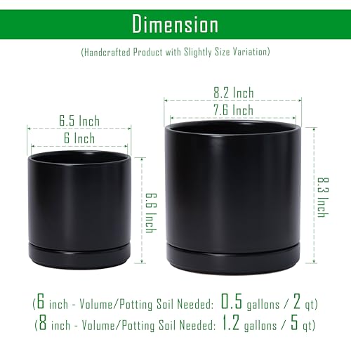 D'vine Dev 2-Pack Ceramic Pots with Saucers, 6/8 in, Black, 94-G-M-2 | Glazed Ceramic, Drainage Hole, Perfect-Fit Saucer, Sleek Cylinder Shape, High Temperature Fired, Elegant Home Accent - color: Black, size: Medium