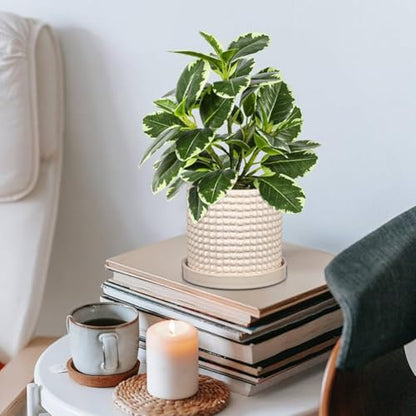 Set of 2 Ceramic Planter Pots with Drainage Hole and Saucer, Round Flower Pot Hobnail Modern Planter Pots for Indoor & Outdoor Plants - 4 Inch & 6 Inch, White - color: Off-white # 4+6 Inch