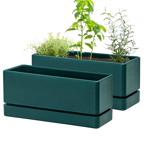 D'vine Dev 2-Pack Rectangular Planters, 12 x 4.5 in, Green, 76-X-C-2 | Minimalist Design, Large Planting Capacity, Drainage Holes & Saucer, Thick-Walled Durable Build, Ideal for Windowsills - color: Green