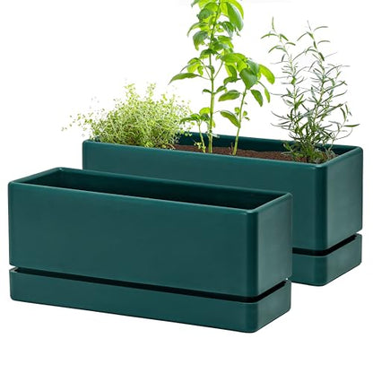 D'vine Dev 2-Pack Rectangular Planters, 12 x 4.5 in, Green, 76-X-C-2 | Minimalist Design, Large Planting Capacity, Drainage Holes & Saucer, Thick-Walled Durable Build, Ideal for Windowsills - color: Green