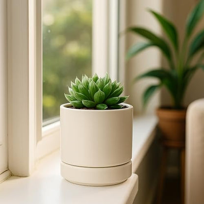 D'vine Dev 4-Pack Ceramic Pots with Saucers, Oatmeal, 4.7 in, 94-X-B-8 | Glazed Ceramic, Drainage Hole and Saucer, Sleek Cylinder Shape, High Temperature Fired, Ideal for Small Houseplants - color: Oatmeal, size: 4.7 Inch
