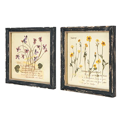 NIKKY HOME Botanical Wall Art Set of 2, Vintage Wood Framed Prints 10"x 10" | Decorative Dried Floral Picture with Glass Front, Elegant Flower Rustic Black Wooden Frame Decor for Bathroom Bedroom Hallway - color: Picture-03