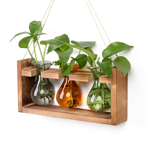 Plant Propagation Station Plant Terrarium Unique Birthday Gifts for Women | Plant Lovers Home Office Decor Planter with Wooden Stand - 3 Bulb Glass Vase - color: Color04