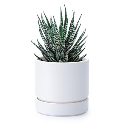 Phoenix Vine 4 Inch Planter Pot with Drainage Hole & Saucer, Deep Water Catch Tray, Straight Cylindrical Round Pot for Plants, Matte White, Pack of 1, 23-B-R-1 - color: Matte White, size: 4" (1 Pack)