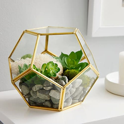 Ashland 5.5” Gold Octagon Glass Terrarium - Geometric Planter for Succulents and Air Plants - Bulk 12 Pack