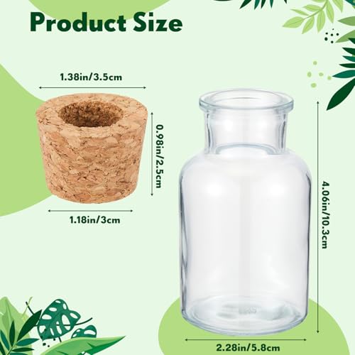 12 Pack Glass Plant Propagation Stations, Hydroponic Vases Tabletop Plant Terrarium Jar for Indoor Flower Arrangements Glass Planter Kitchen Office Decoration Gifts(Cylindrical)