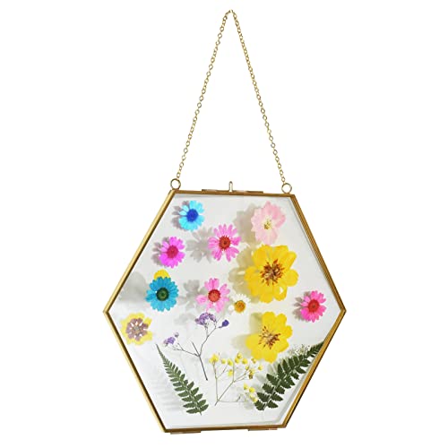 TLBTEK Brass Hanging Photo Frame,9.5 Inch Hexagon Glass Frame for Pressed Flowers,Clear DIY Vintage Artwork Display Frame Wall Mounted Photos Frame - color: Hexagon 9.5 Inch (Gold)