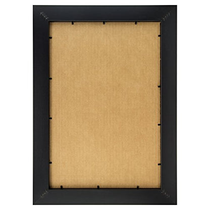 Craig Frames 1WB3BK 14 by 14-Inch Black Picture Frame, Single White Collage Mat with 9-4 by 4-Inch Openings - color: 500141401C48A 4x6 2-Opening - 1" Border