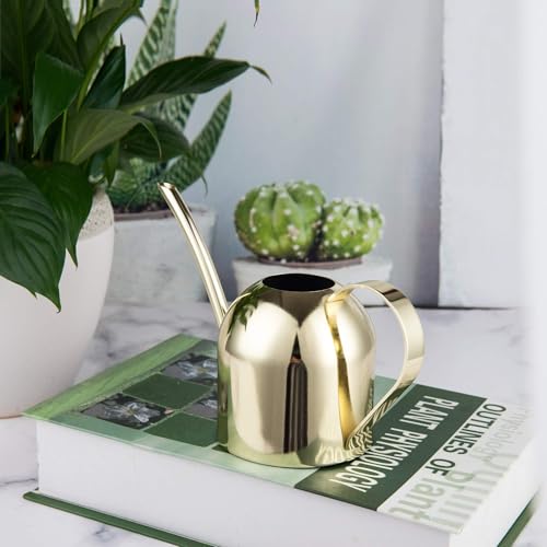 IMEEA 15oz Mini Indoor Watering Can for Small Plants Stainless Steel Watering Can with Long Spout for Desk, Windowsill & Bonsai (Gold) - color: 15oz (Gold)