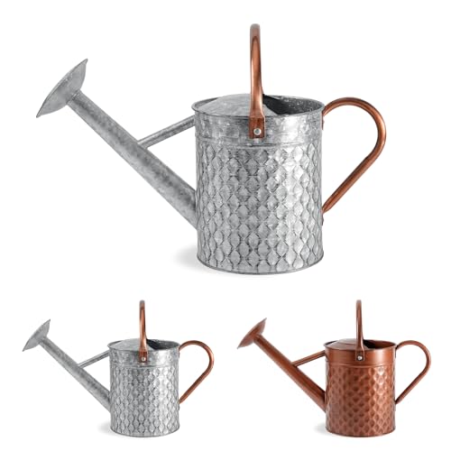 1 Gallon Metal Watering Can for Outdoor Indoor Plants, Galvanized Watering Can with Removable Spray Spout, Ideal for Garden Watering - color: Silver