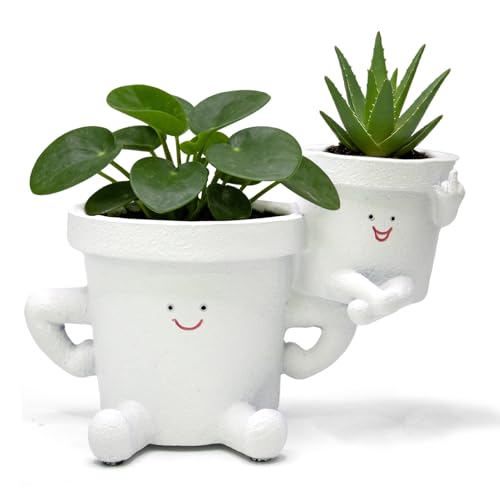 Smiling Plant Pot with Middle Fingers Up, Funny Succulent Flower Pot with Drainage, Resin Figure Planter Pots Indoor Outdoor Home Decor, Office Desk, Novelty Gardening Gift - color: White
