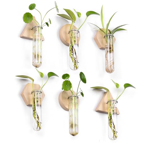 Wall Hanging Glass Planter Plant Propagation Station | Test Tube Vase, Wall Mounted Self-Adhesive Wooden Hydroponic Planter, for Home Office Wall Decor