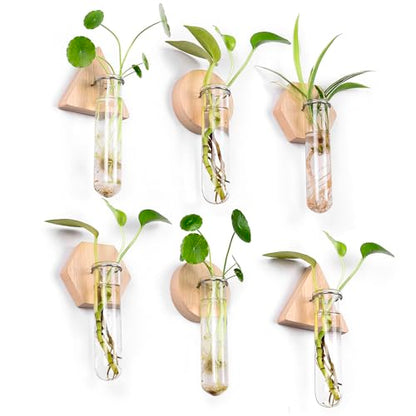 Wall Hanging Glass Planter Plant Propagation Station | Test Tube Vase, Wall Mounted Self-Adhesive Wooden Hydroponic Planter, for Home Office Wall Decor
