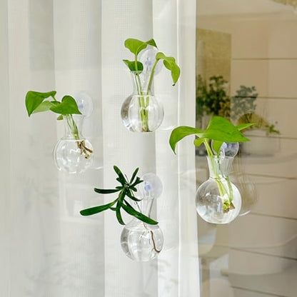 Suction Cup Plant Propagation Bulbs, Wall Hanging Plastic Terrarium Planter, Window Hydroponics Vase Tubes, Easy Install No Nails Plant Station for Home Bathroom Office Living Room Decor Plant Decor