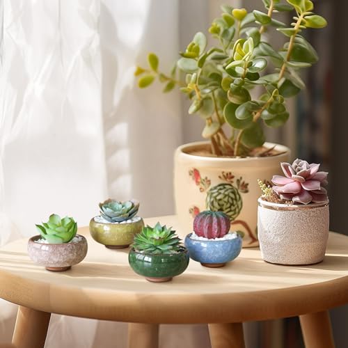 T4U 2.5 Inch Small Ceramic Succulent Planter Pot with Drainage Hole Set of 6, Ice Crack Glaze Plant Container for Cactus, Gardening Plant Gifts for Women Mom Aunt Home Office Decor | Cactus planters set, indoor herb garden, bonsai tree starter, tabletop c