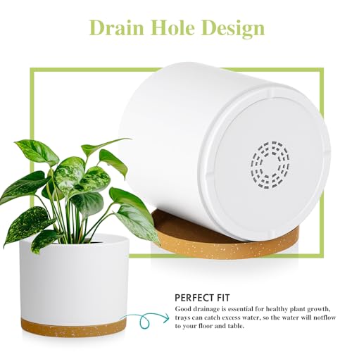 Large Plant Pots Set of 3 – 8", 9", 10" Indoor Flower Pots with Drainage Holes and Saucers, Big Planters for Monstera, Fiddle Leaf Fig, Snake Plant – 5 Colors - color: White With Brown Base
