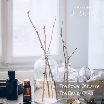 Natural Reed Diffuser Set, Warm Sandalwood 3.52 oz (100ml) Scented Diffuser with Sticks Home Fragrance Reed Diffuser for Bathroom Shelf Decor, Ideal Gift for Woman