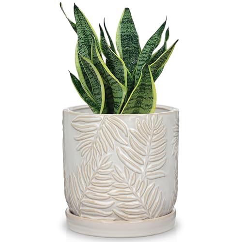 GnFlus 5.5 Inch Ceramic Planter Pots with Drainage Holes, Saucers for Indoor-Outdoor Plants, Succulent Orchid Flower Large Round Plant Pot Lvory White - color: White
