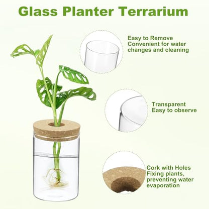 M METERXITY 1 Pack Glass Planter Terrarium with Wooden Cover, Desktop Plant Propagation Station Clear Vase for Hydroponic Plants Propagation/Home Garden Decor/Plant Lover [3.35'' x 4.72''] - size: 3.35'' x 4.72''