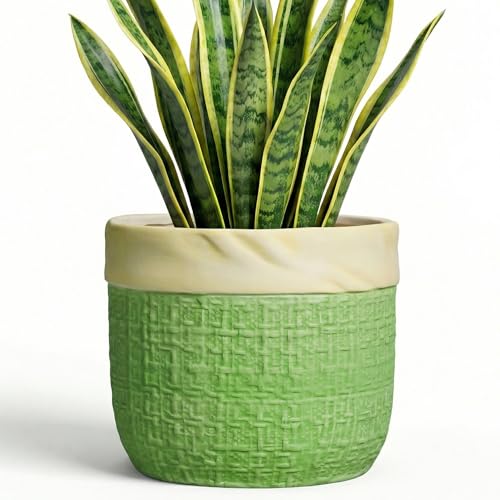8 Inch Plant Pot, Ceramic Pots for Plants, Round Flower Pots, Green | Decorative Planter with Drainage Hole, Boho Plant Pot for Indoor Plants, House Garden Decor, Gardening Gifts for Women - color: Green, size: 8 Inch