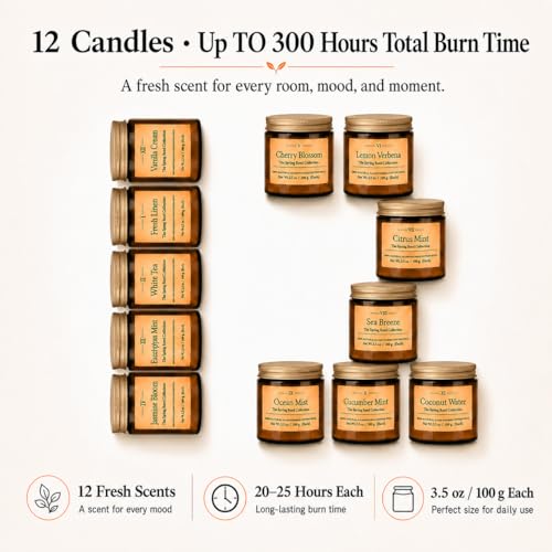 12 Pack Summer Scented Candles, 3.5 oz Amber Glass Jar Soy Candle Set | 8% Essential Oil Blend, Gifts for Women Birthday Housewarming - color: Spring and Summer Candle