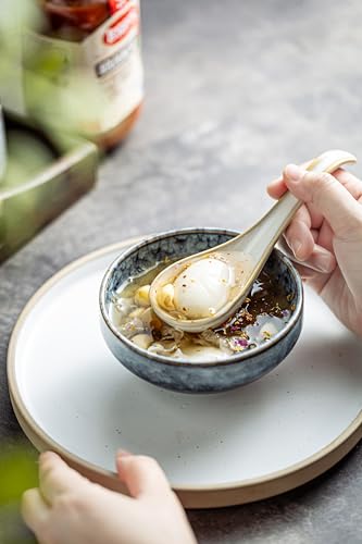 LYEOBOH Asian Soup Spoons, 6.5 inch Ceramic Soup Spoon Set of 6, Dinner Spoons with Deep Hook for Home, Kitchen, Dishwasher & Microwave Safe, Farmhouse Style, Beige - color: Beige