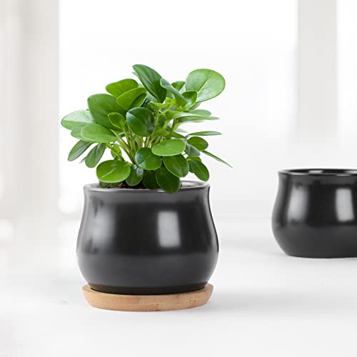 SHECIPIN 8 Pack Succulent Plant Pot, Matte Black Mini 2.6 inch Ceramic Flower Planter Pot with Bamboo Tray, Small Pots for Plants, Plants Not Included - color: Black