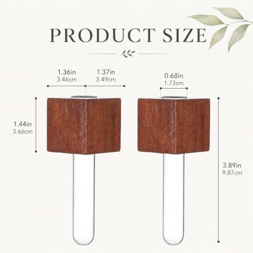 WLLHYF Magnetic Test Tube Flower Vases for Refrigerator Set of 2 Wooden Fridge Magnet Planters with Glass Tubes Propagation Station for Hydroponic Display (No Plant Included)